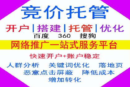 成功案例：SEM竞价托管的策略与效果